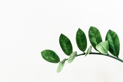 #047 La rentabilité par projet : Comment bien gérer avec QuickBooks ? - 6DT Conseil inc