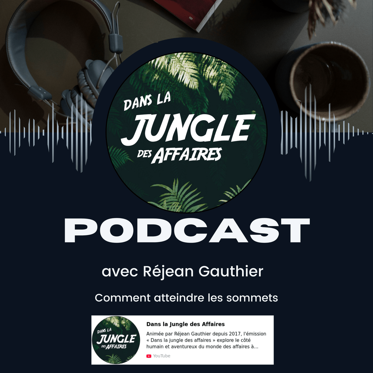 Dans la jungle des entrepreneurs - 6DT Conseil inc